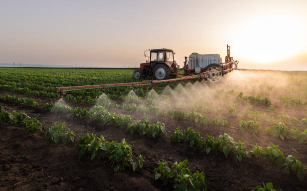 Best Pest Prevention Services  in Parsons, KS
