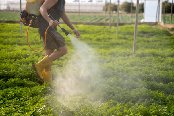 Best Insect Control  in Parsons, KS