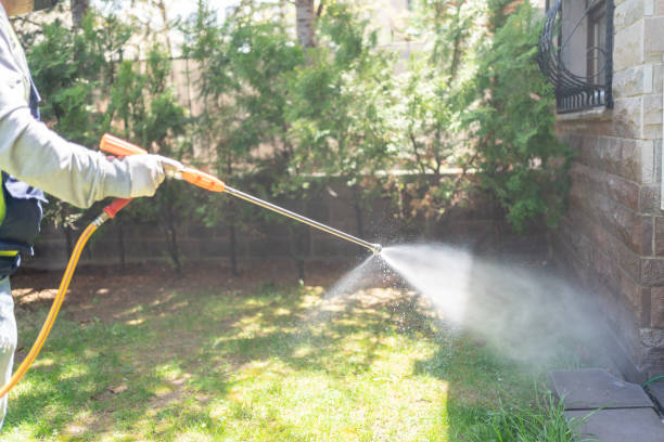 Best Emergency Pest Control  in Parsons, KS