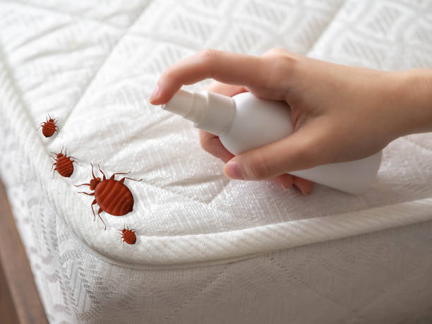 Best Commercial Pest Control Services  in Parsons, KS