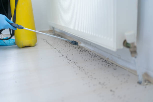 Best Affordable Pest Control Services  in Parsons, KS