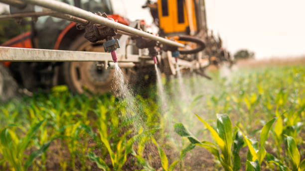 Best Best Pest Control Companies  in Parsons, KS
